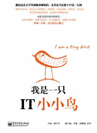 IT小小鸟